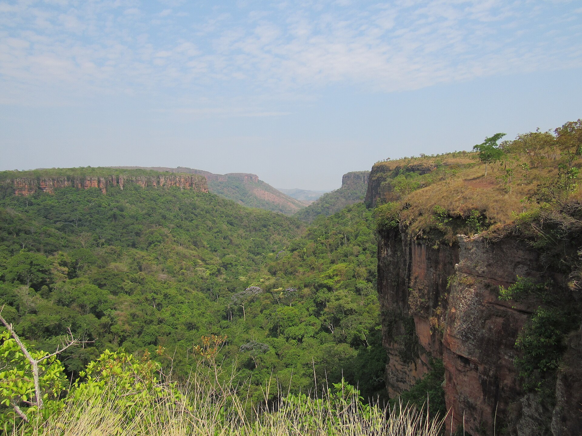 Vale florestado entre paredões de arenito na Chapada dos Guimarães, Mato Grosso.